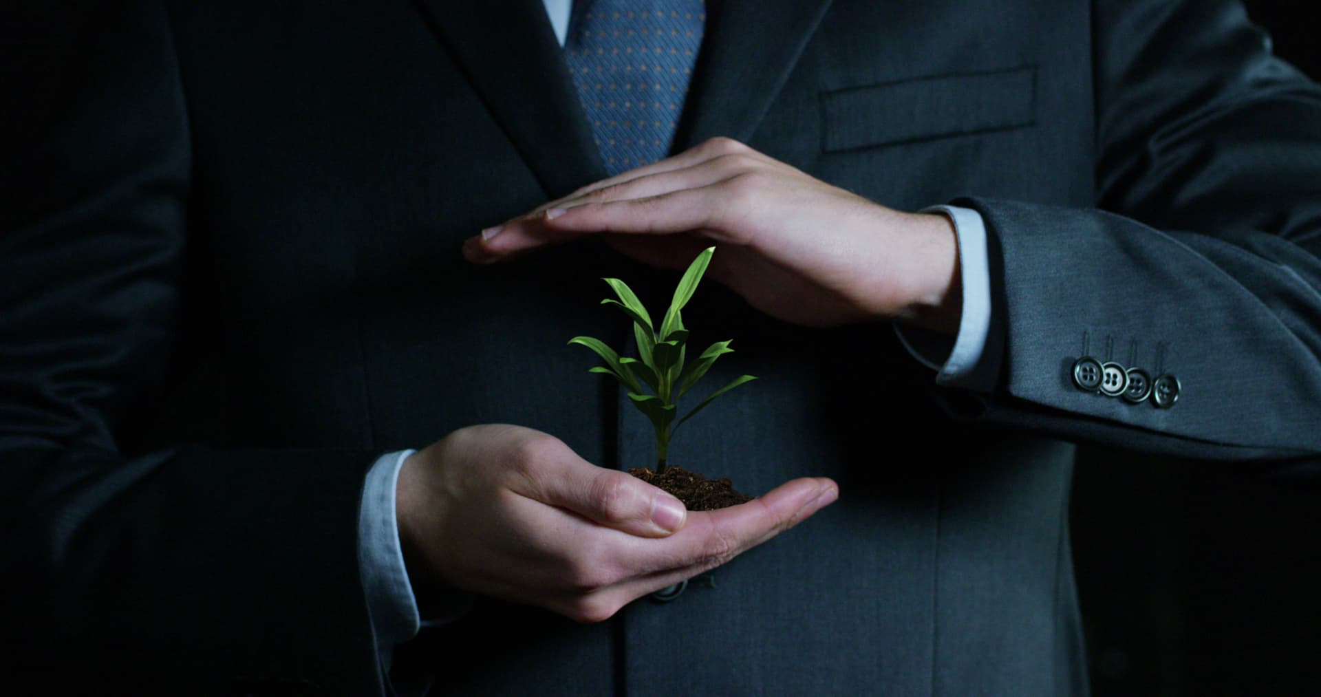 Hands nurturing a growing plant, symbolizing the growth of compound interest over time
