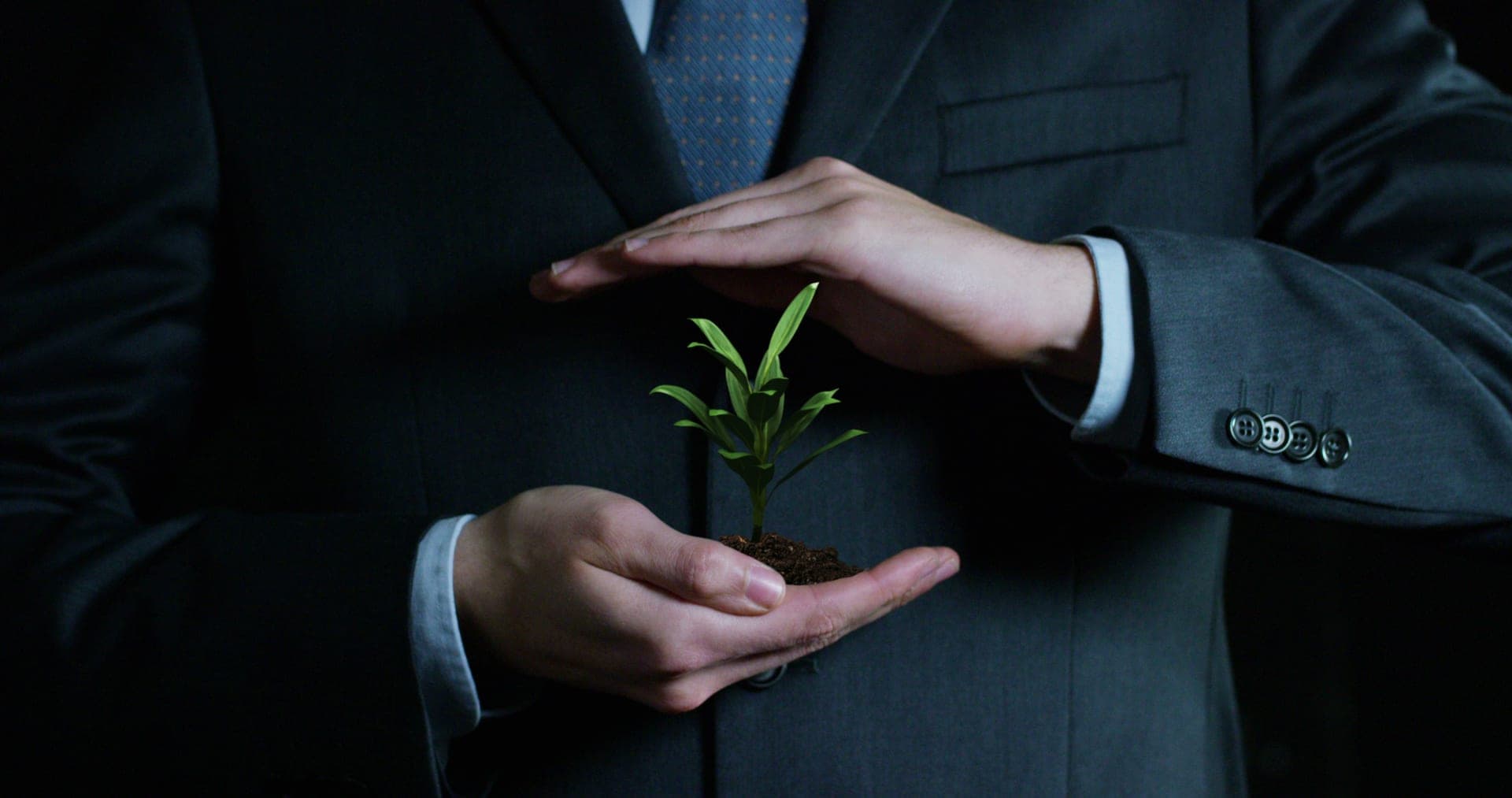 Hands nurturing growth symbolizing wealth building